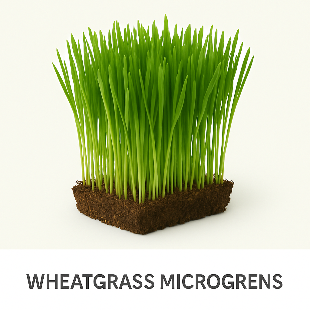 Wheatgrass